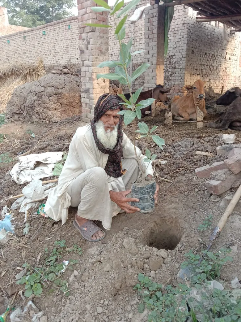 Green Seekers Activity